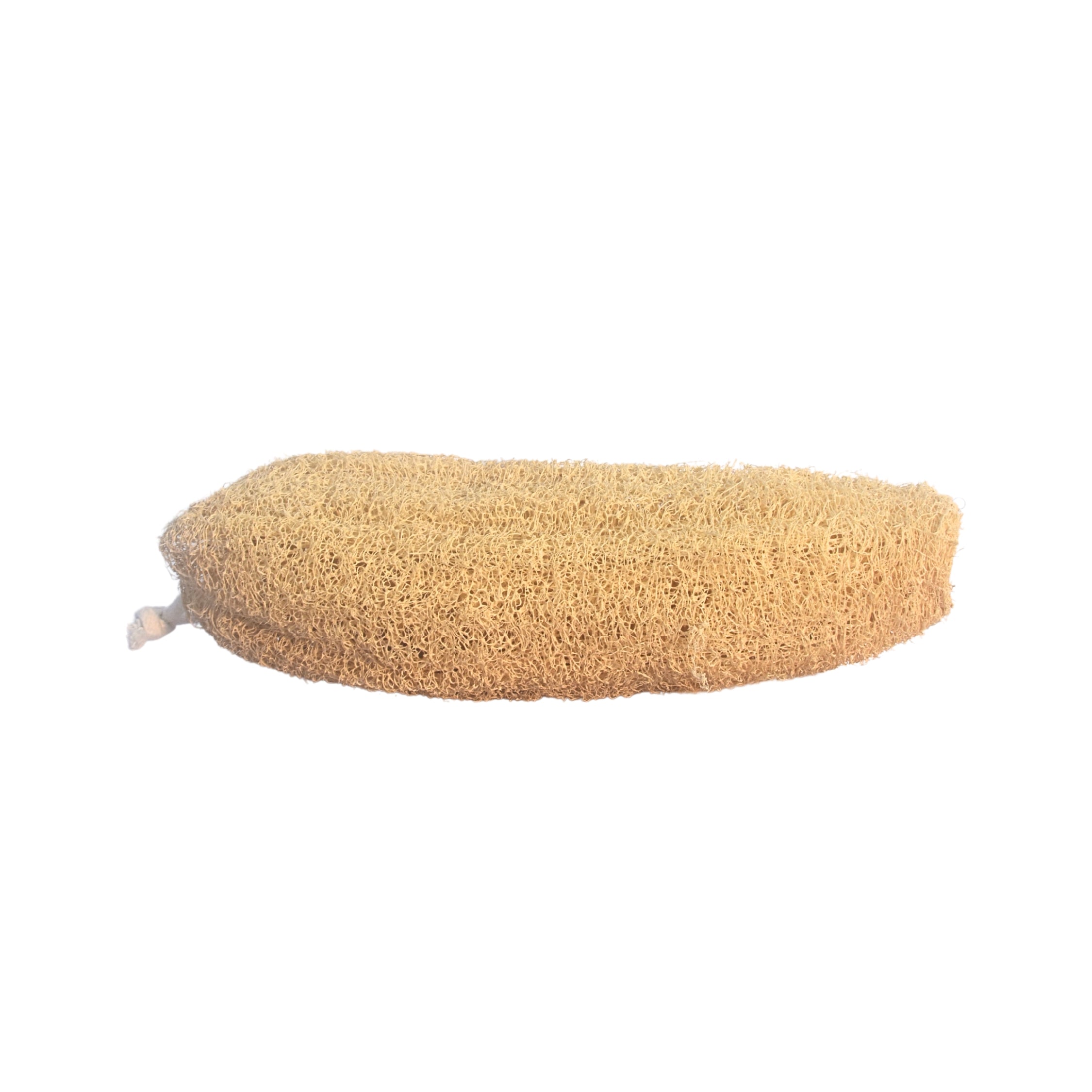Natural Loofah (Plant-Based)