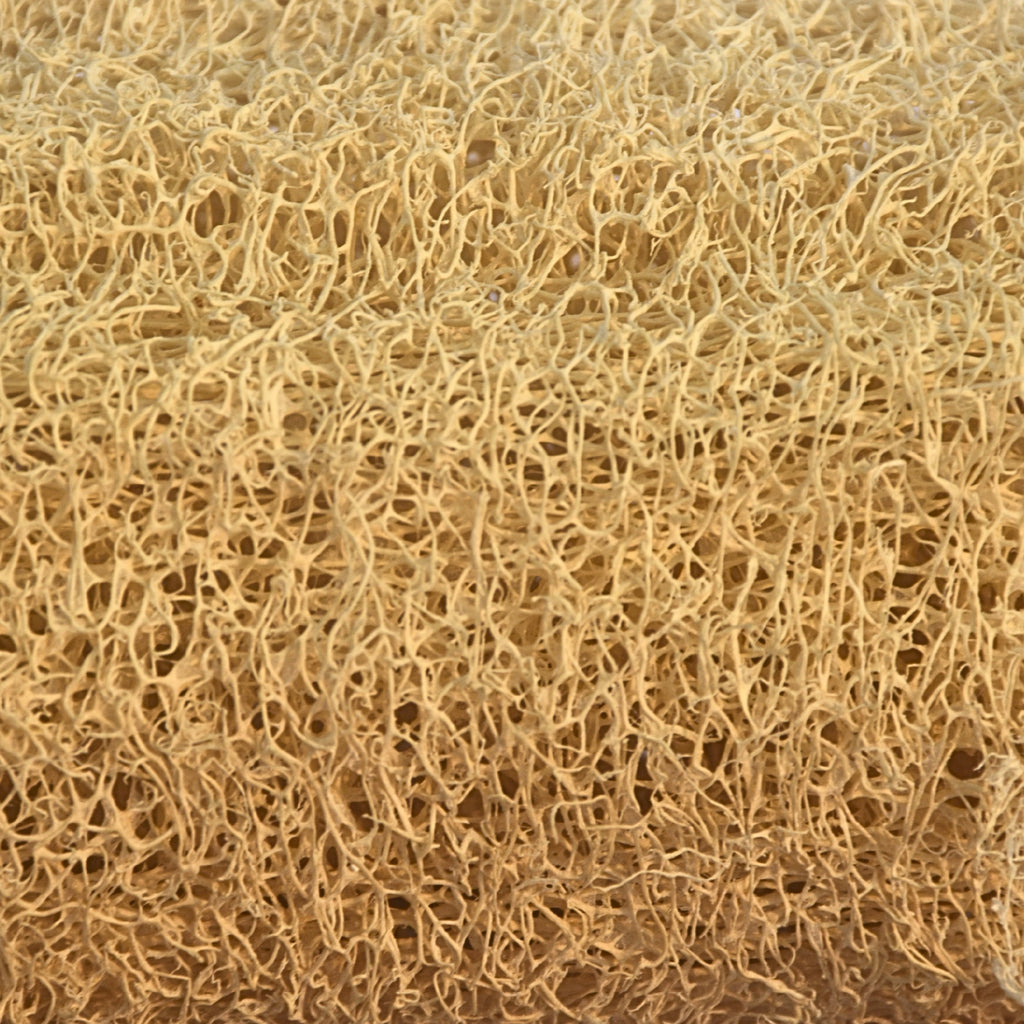 Natural Loofah (Plant-Based)