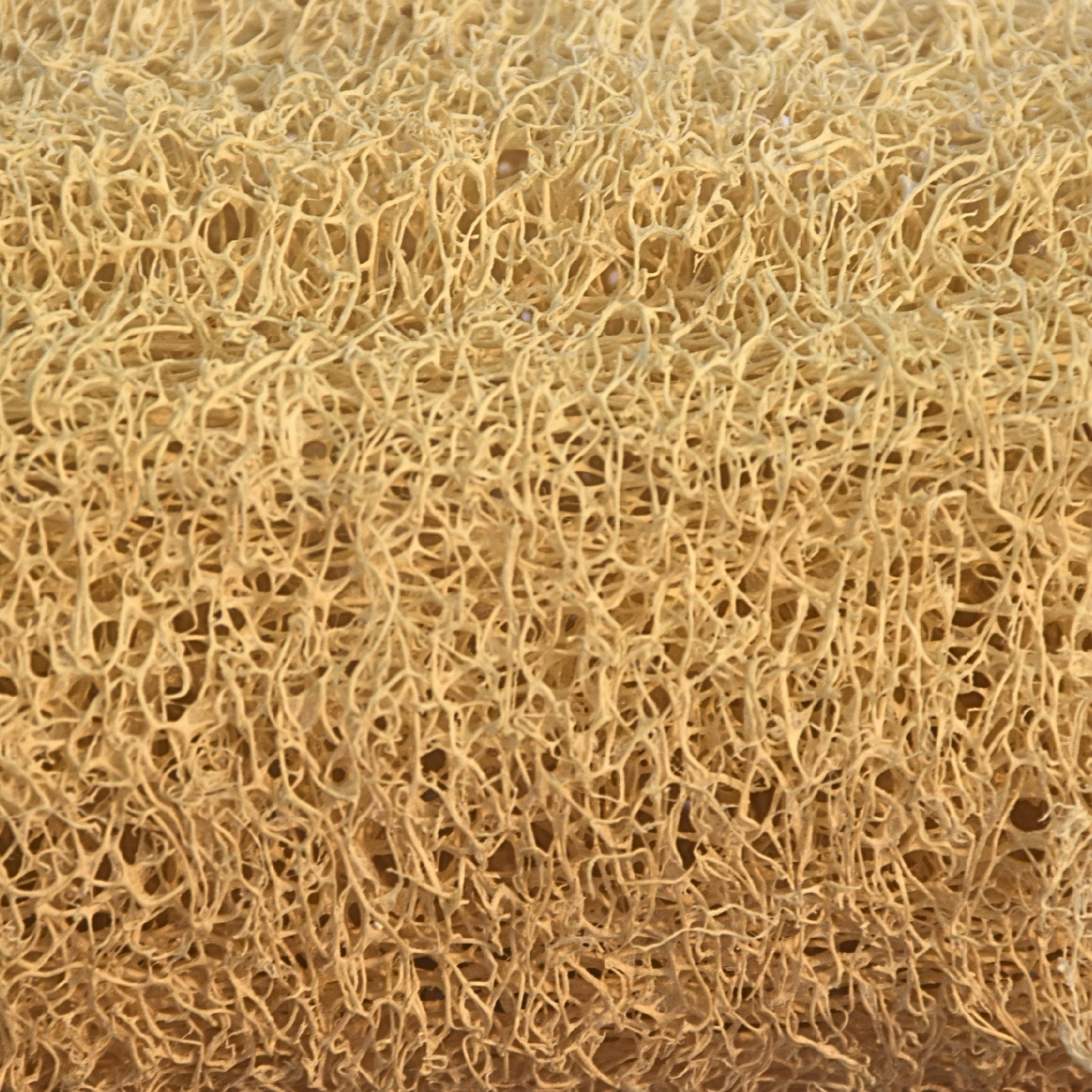 Natural Washing Loofah (Plant-Based)