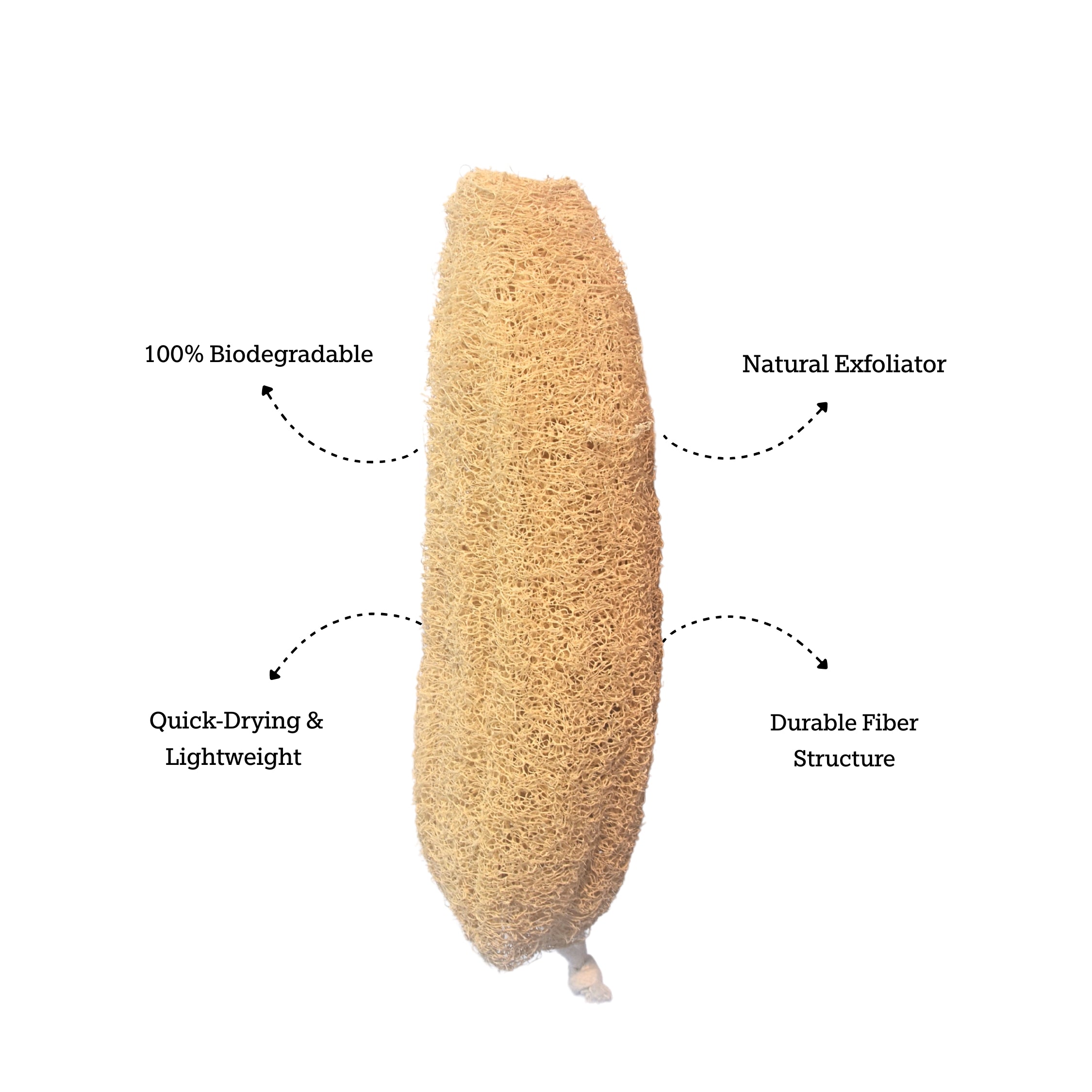 Natural Loofah (Plant-Based)